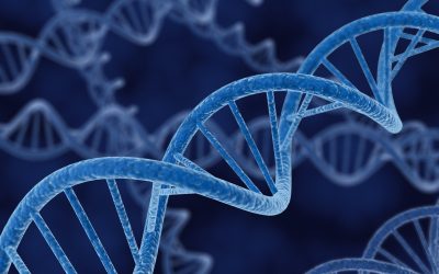 What’s your company’s DNA?